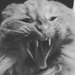 Profile Picture of Rae-Lynn Learning (@rlearning_s) on Instagram