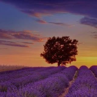 Profile Picture of 𝐷𝑎𝑛𝑖𝑒𝑙𝑎 𝐺𝑟𝑖𝑙𝑙𝑜 (@_daniela_grillo_) on Instagram