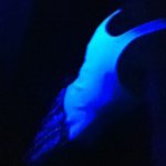 Profile Picture of Hunter Finch (@baseball_king199) on Instagram