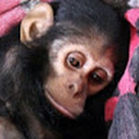 Profile Picture of Madelyn Bailey (@madelyn-bailey-9) on Quora