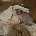 Profile Picture of Dillon Scott (@dviate89) on Instagram