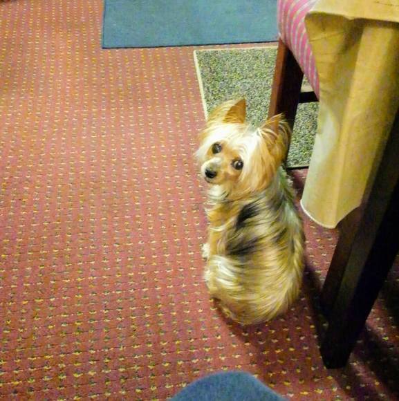 Profile Picture of Joyce Teal favier (@lost_n_ill) on Poshmark