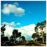Profile Picture of Carlton Craigmiles (@carltoncraigmiles) on Instagram