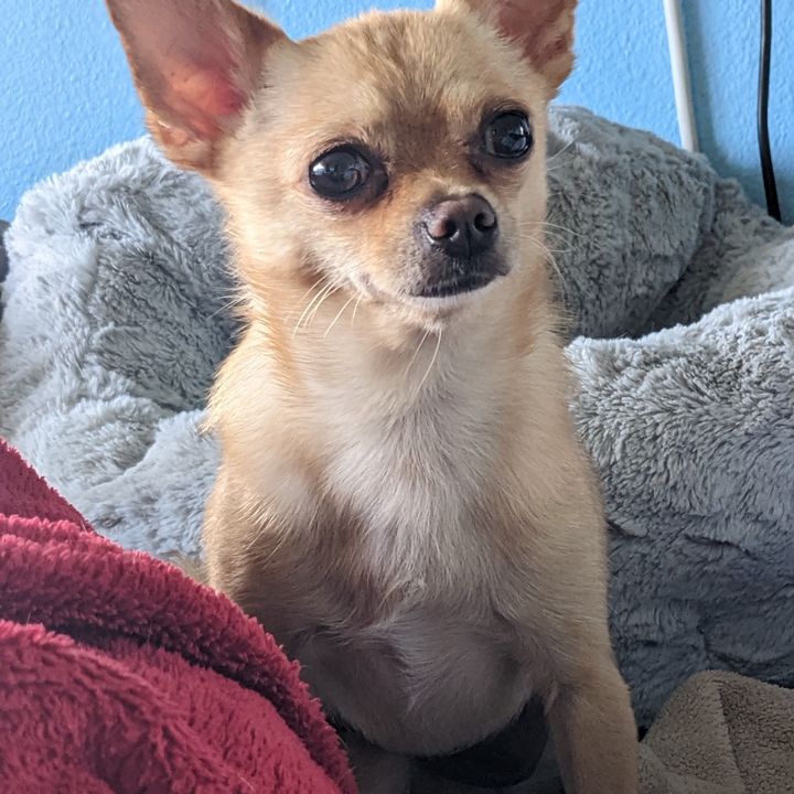 Profile Picture of Mark Lauterbach781 (@marklauterbach1968) on Tiktok