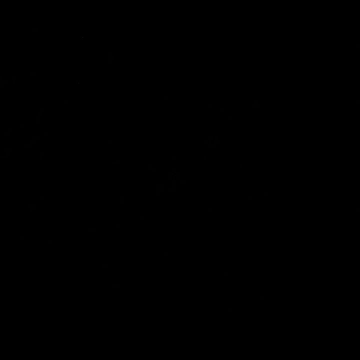 Profile Picture of Robert Shumberger (@robert.shumberger) on Tiktok