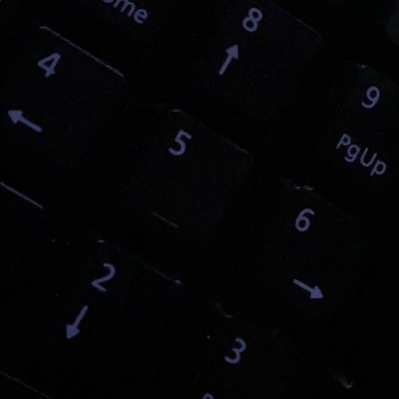 Profile Picture of Lisa Donnelly (@maxstax) on Poshmark