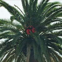 Profile Picture of Luca Allison (@luca-allison-1) on Quora