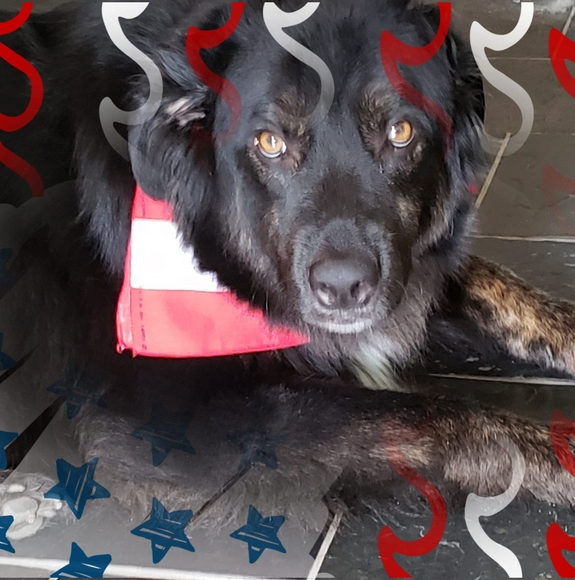 Profile Picture of Paul Wasek (@paulwasek) on Poshmark