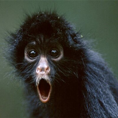 Profile Picture of Dan VonderBrink (@DanVonderBrink) on Twitter