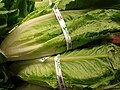 Profile Picture of Romaine lettuceon Wikipedia