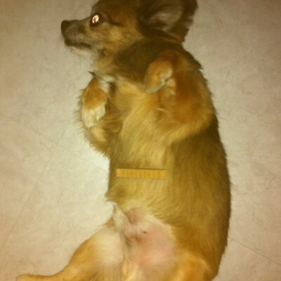 Profile Picture of 平野タカシ (@Hirano_Takashi_) on Twitter