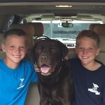 Profile Picture of Mike (Dad) (@mike_mayo28) on Instagram