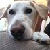 Profile Picture of Jeff Hardman (@jeff.hardman2) on Facebook