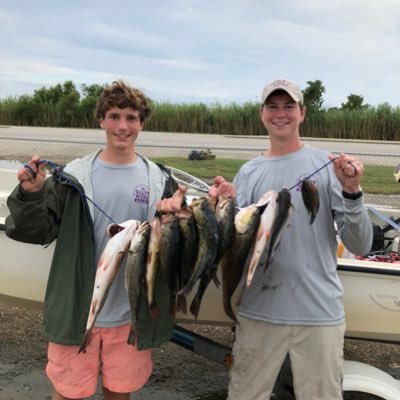 Profile Picture of Thomas Gaillard (@ThomasG04712667) on Twitter