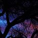 Profile Picture of Lois Becker Arganbright (@largie) on Pinterest