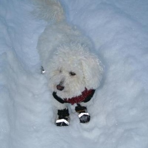 Profile Picture of Cherri Noway (@cherriworkman) on Myspace