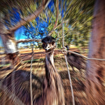 Profile Picture of daniel collier (@CollierExpeditions) on Flickr