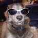 Profile Picture of Brian Gunning (@brian.gunning.583) on Facebook