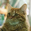 Profile Picture of Toby Gifford Moore (@_slav) on Flickr