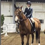 Profile Picture of Elizabeth Maher (@maher_equestrian) on Instagram