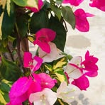 Janet Keller - Facebook Profile Picture of Janet Keller (@Janet-Keller) on Facebook