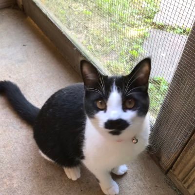 Profile Picture of Heather Paige-Webb (@goofygal1975) on Twitter
