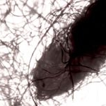 Profile Picture of coreymahoneyart (@coreymahoneyart) on Instagram