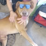 Profile Picture of Michael Pignat (@Michael-Pignat) on Facebook