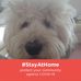 Profile Picture of Gary Treend (@gary.treend.58) on Facebook