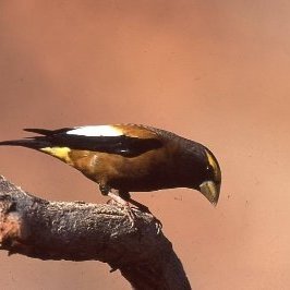 Profile Picture of Damian Fagan (@FaganDamian) on Twitter