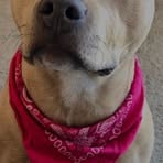 Profile Picture of Jerald Pettibon (@jerald.pettibon) on Facebook