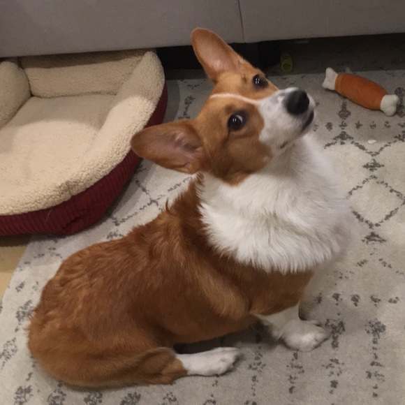 Charisse Capadona - Poshmark Profile Picture of Charisse Capadona (@cpcapadona) on Poshmark