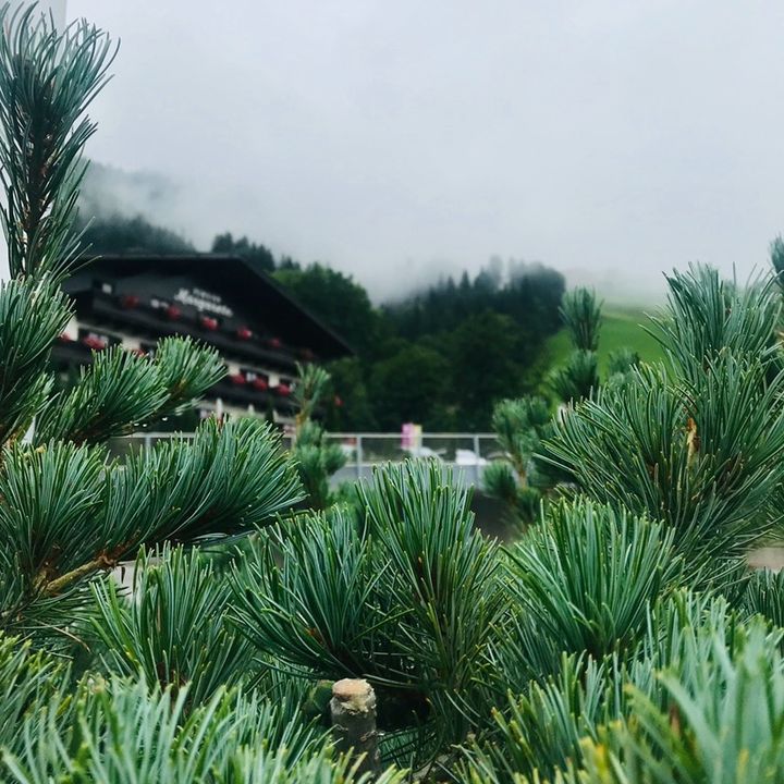 Profile Picture of Traveling (@traviling1) on Tiktok