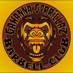 Profile Picture of Alejandro Valentin (@gahannagorrillazbarbellclub) on Instagram