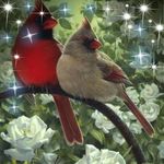 Profile Picture of pamela.haynorr (@pamela1haynor) on Instagram