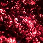 Profile Picture of tyler bertrand (@tysdisordersdiary) on Instagram