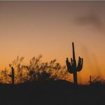 Profile Picture of joe saleeby (@joesaleeby) on Instagram