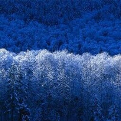 Profile Picture of CHADDOUD HICH (@CHADDOUHICH) on Twitter