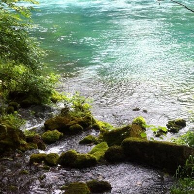 Van Buren Mo - Twitter Profile Picture of Van Buren Mo (@VanBurenMo) on Twitter