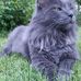 Profile Picture of William Farrow (@william.farrow.777) on Facebook