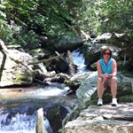 Profile Picture of Phyllis Hutchison (@phyllis.hutch) on Instagram