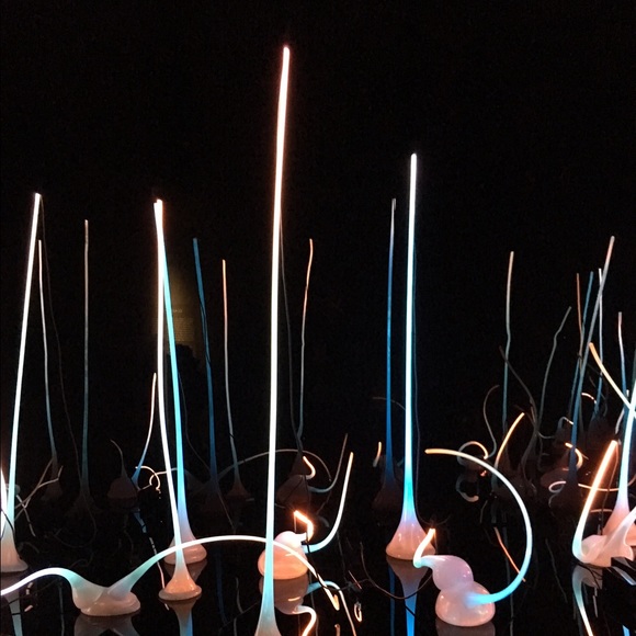 Profile Picture of Yoohyung Park (@yoohyung) on Poshmark