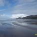 Profile Picture of Marian Kane McNamee (@davadog) on Pinterest