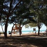 Profile Picture of Cindy Kennedy (@cindy.kennedy.7524) on Instagram