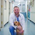 Profile Picture of Daniel Rayment (@vetrichordietrying) on Instagram