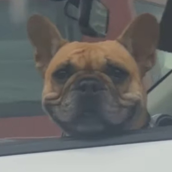 Profile Picture of Tyler Taylor (@tyler_7721) on Poshmark