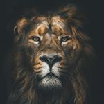 Profile Picture of Lolu. (@bobby_tee01) on Instagram