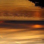 Profile Picture of Petronia (@2hubertlhbradley) on Instagram