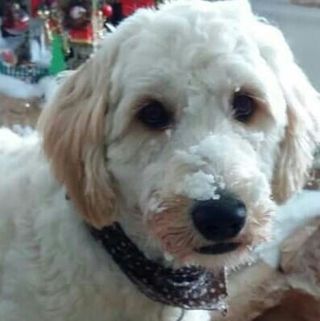 Amélia Lacasse - Facebook Profile Picture of Amélia Lacasse (@amelia.lacasse) on Facebook