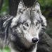 Profile Picture of Robert Wilk (@robert.wilk.129357) on Facebook